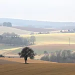 Jung Und Lind * Bretten